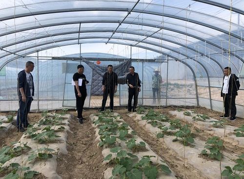 學黨史砥礪初心 強技術服務三農——市農業技術推廣中心站扎實開展“我為農民辦實事”實踐活動