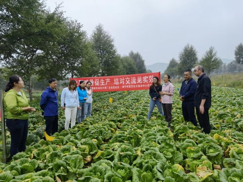 以試驗促進高效生產，以科技助力生態農業——省農業技術推廣總站的實踐與探索